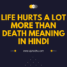 Life Hurts a Lot More Than Death Meaning in Hindi